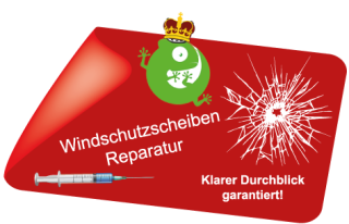 Windschutzscheibenreparatur bei Chameleon Wrapping in Eben im Pongau bei Salzburg